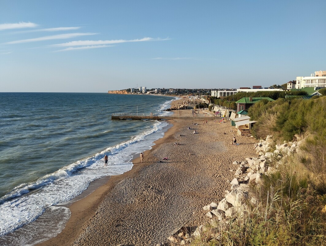 вязовая роща